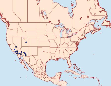 Distribution Data for Pseudohadena vulnerea