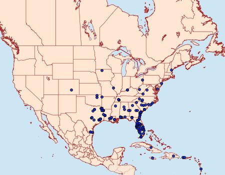 Distribution Data for Spodoptera eridania