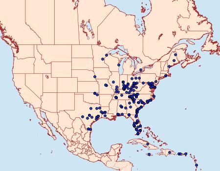Distribution Data for Condica sutor