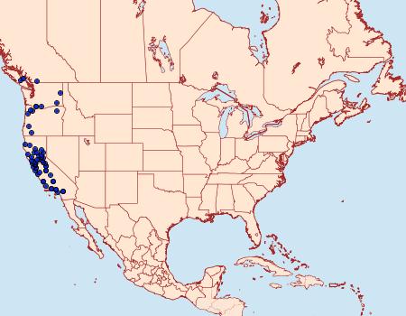 Distribution Data for Annaphila diva