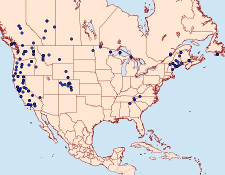 Distribution Data for Lithophane georgii
