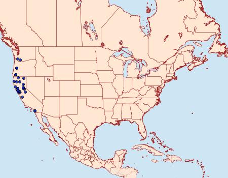 Distribution Data for Mesogona rubra