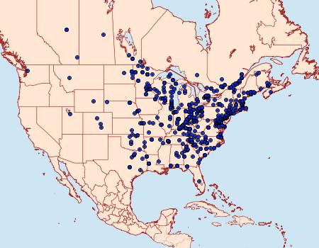 Distribution Data for Sunira bicolorago