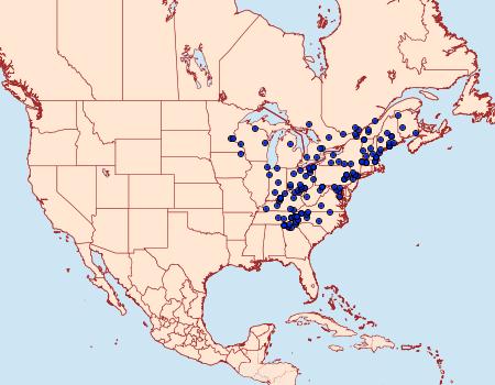 Distribution Data for Anathix ralla