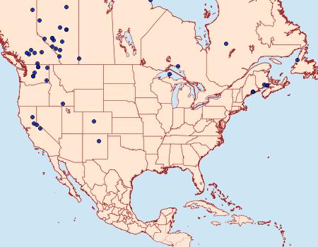 Distribution Data for Mniotype tenera