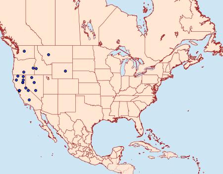 Distribution Data for Brachylomia elda