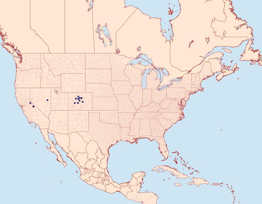 Distribution Data for Lasionycta benjamini