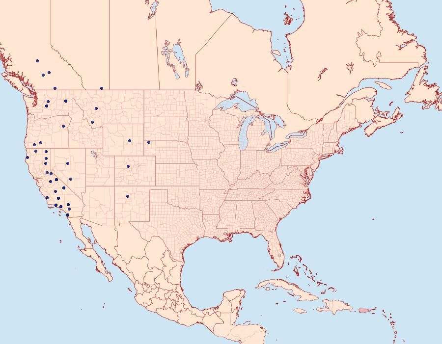 Distribution Data for Abagrotis duanca