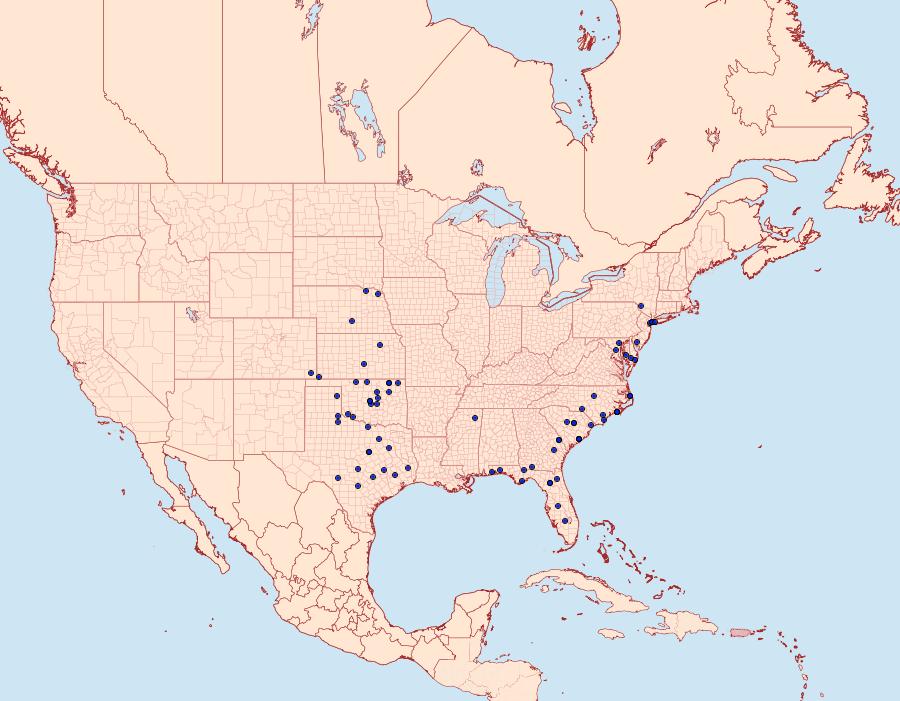 Distribution Data for Schinia nubila