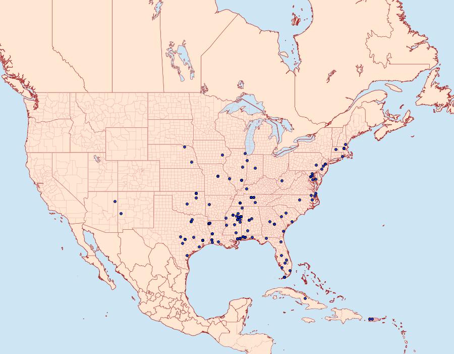Distribution Data for Polyhymno luteostrigella