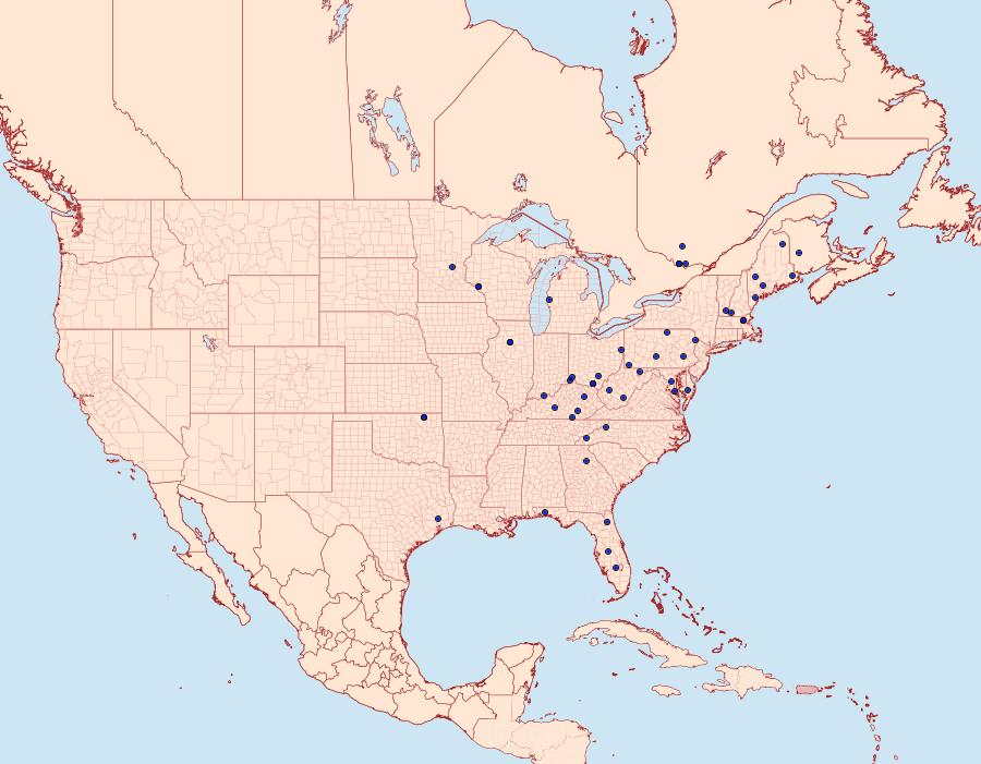 Distribution Data for Catastega timidella