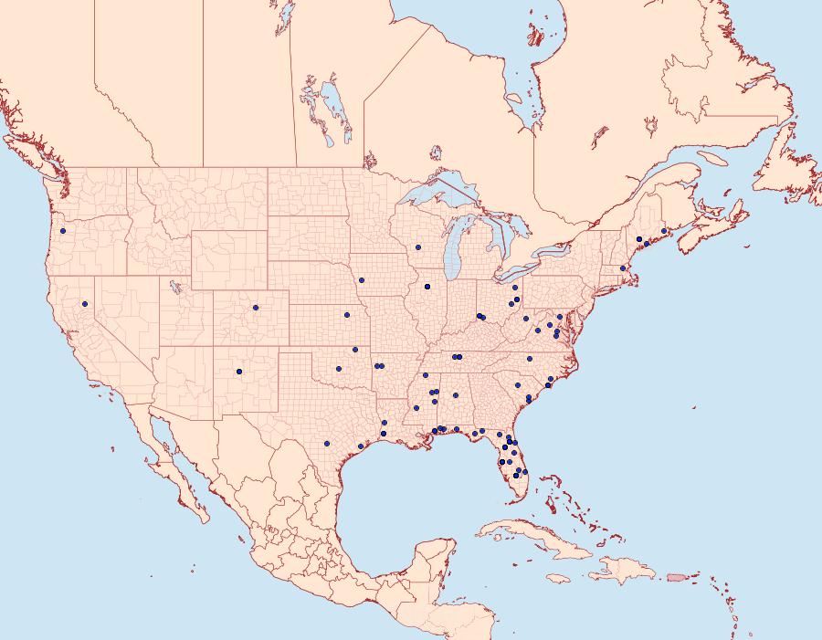 Distribution Data for Choristoneura obsoletana