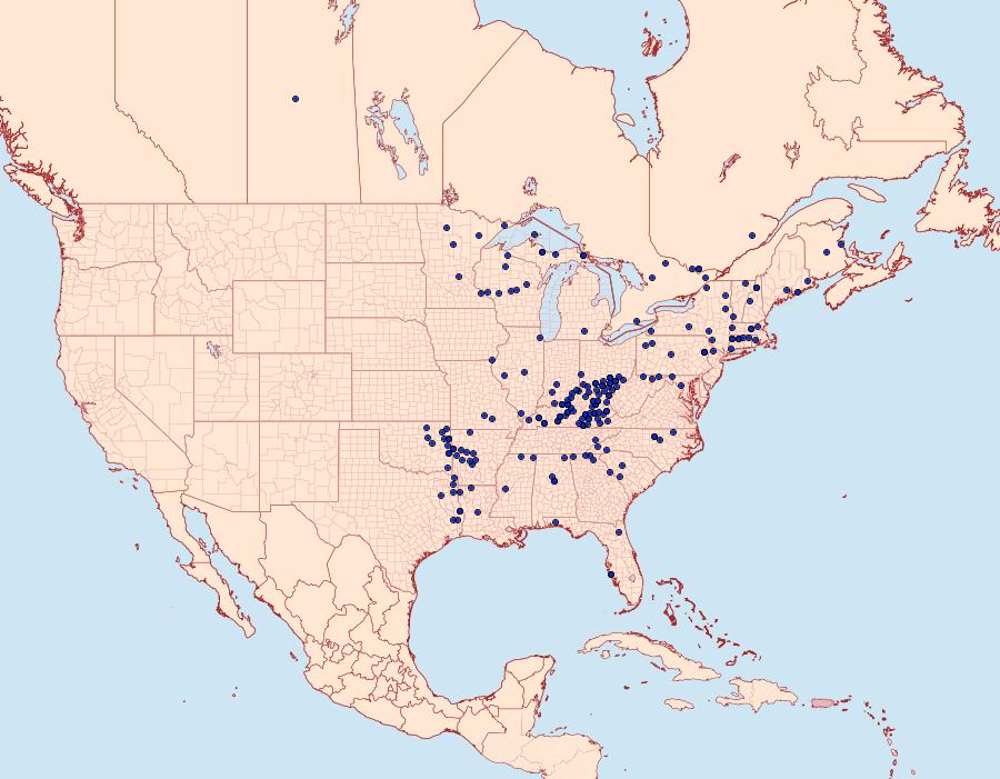 Distribution Data for Amblyscirtes hegon
