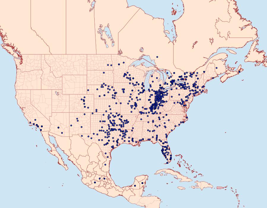 Distribution Data for Heraclides cresphontes