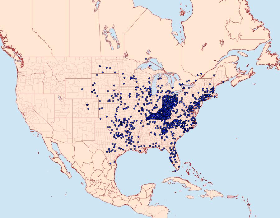 Distribution Data for Pterourus glaucus