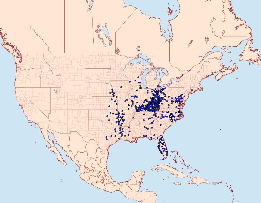 Distribution Data for Eurytides marcellus
