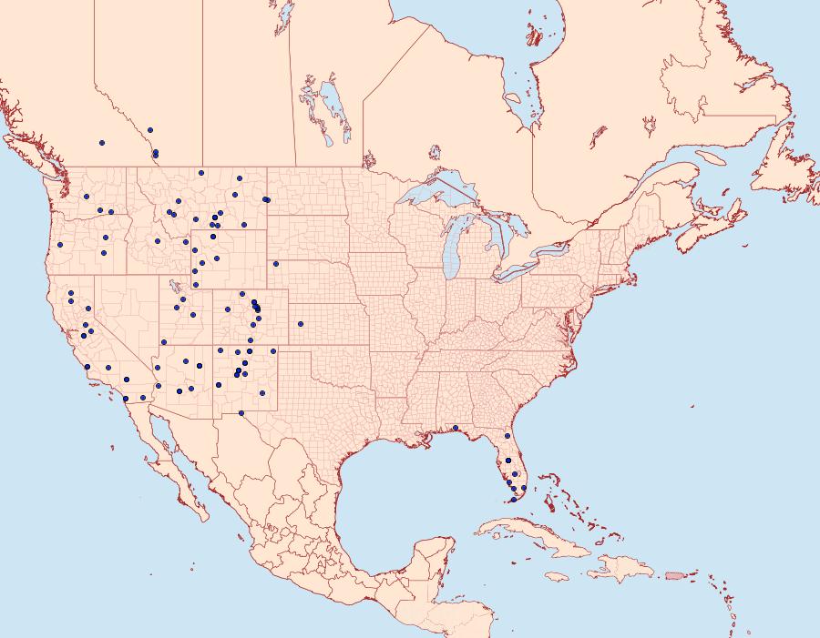 Distribution Data for Pontia sisymbrii