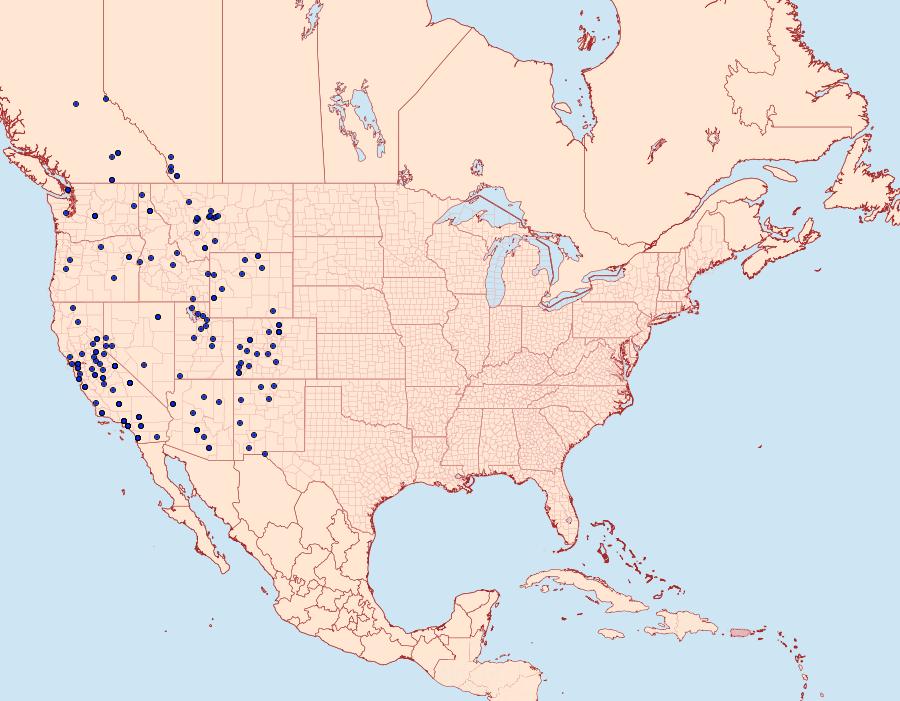 Distribution Data for Anthocharis sara