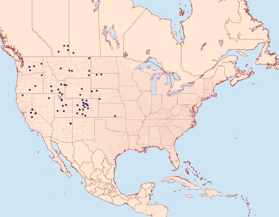 Distribution Data for Tharsalea rubidus
