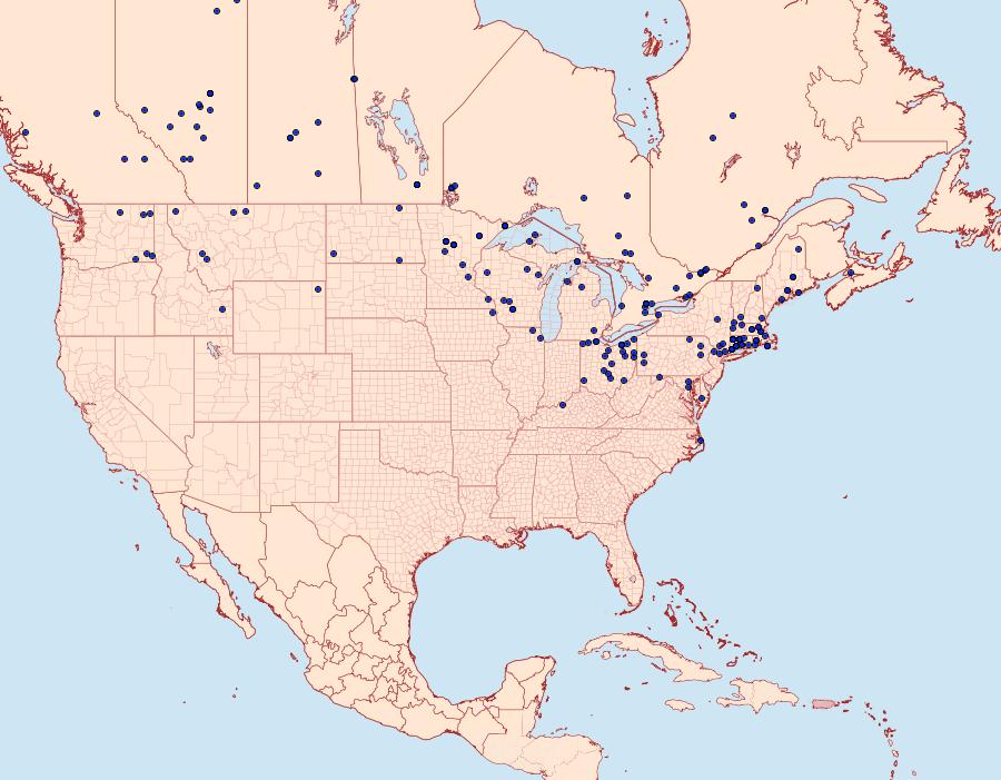 Distribution Data for Nymphalis l-album