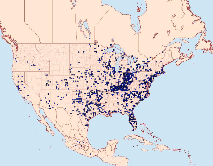 Distribution Data for Junonia coenia