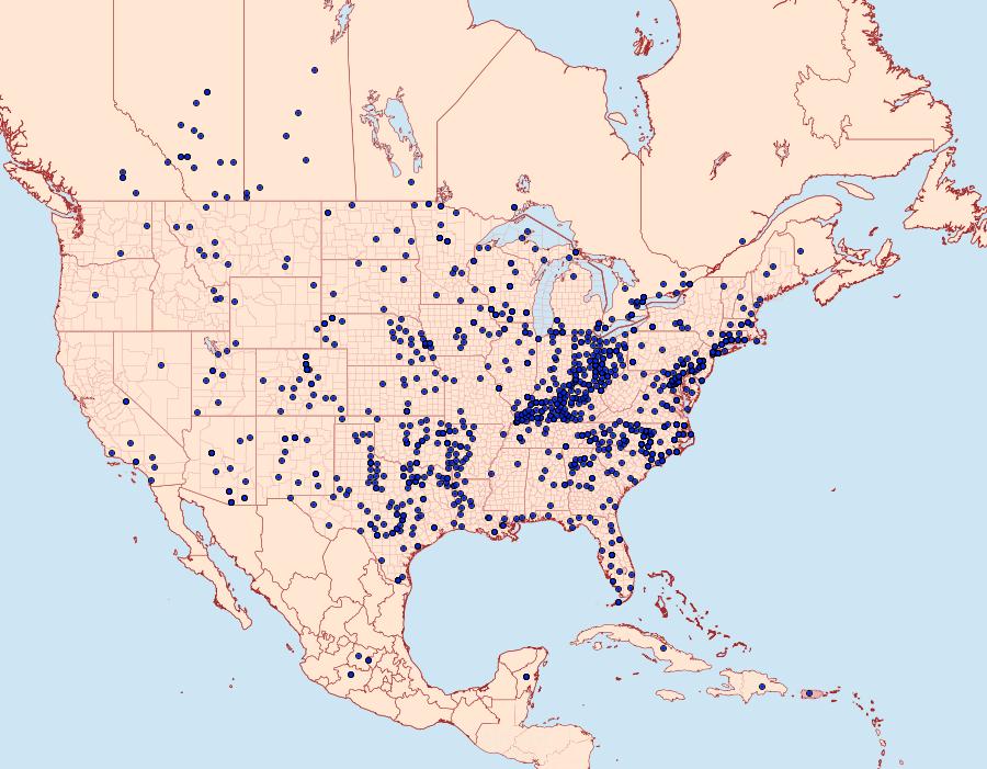 Distribution Data for Euptoieta claudia