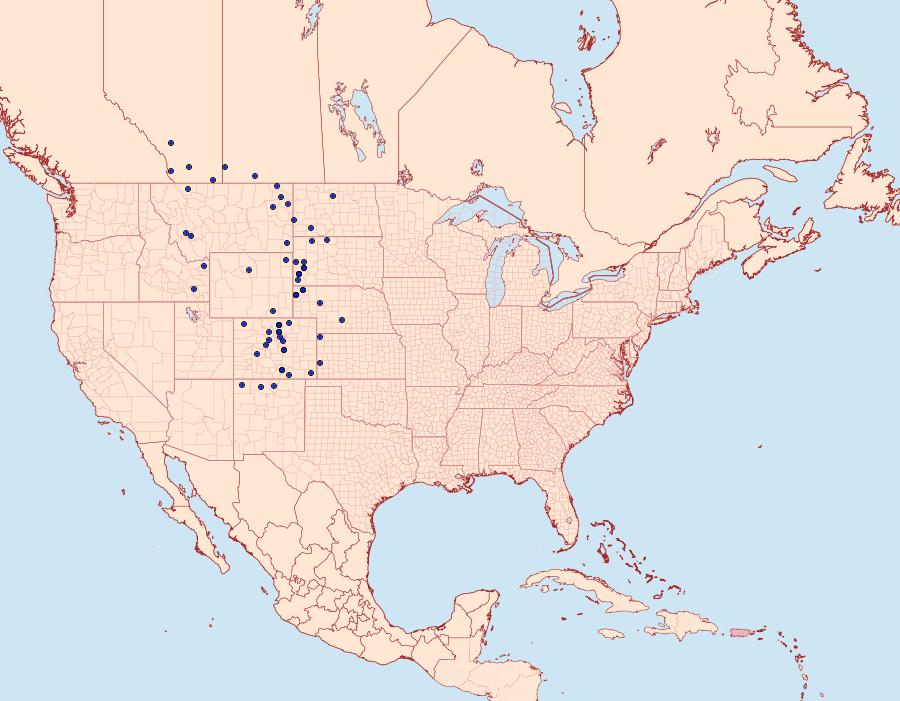 Distribution Data for Argynnis edwardsii