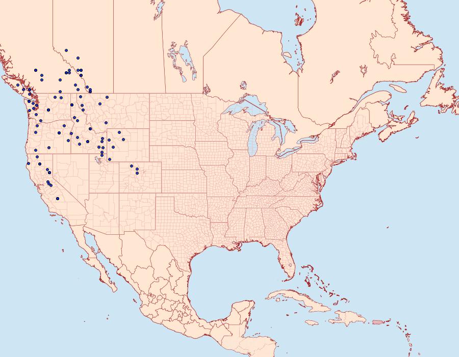 Distribution Data for Argynnis hydaspe