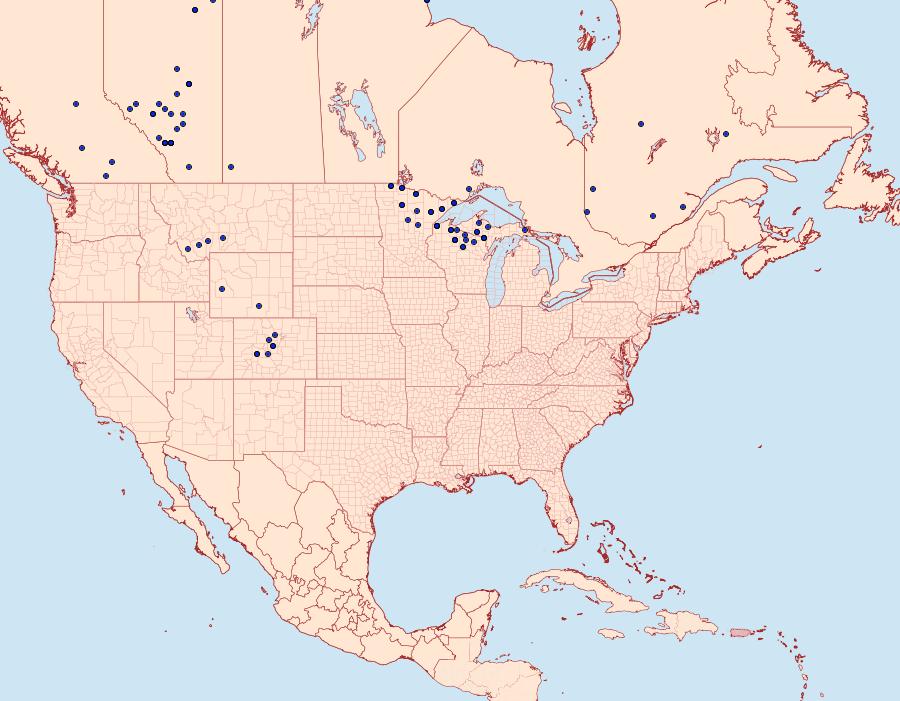 Distribution Data for Boloria freija