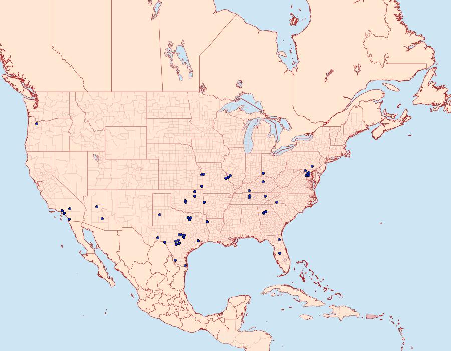 Distribution Data for Pyrausta inornatalis
