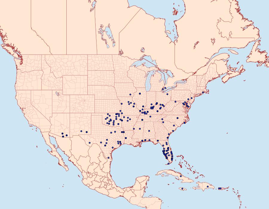 Distribution Data for Pyrausta tyralis