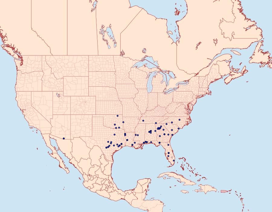 Distribution Data for Diastictis baccatalis