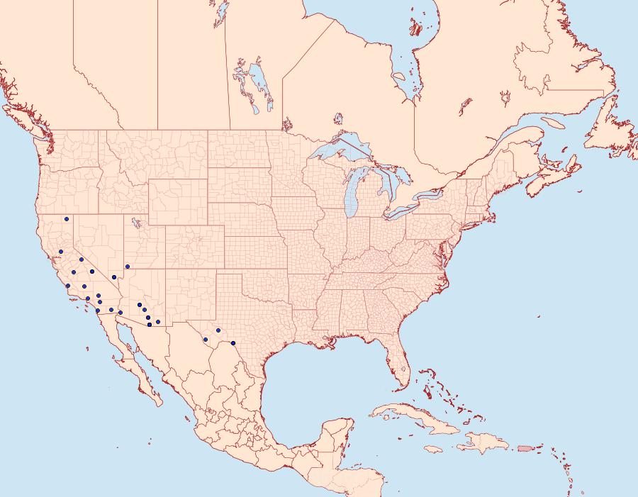 Distribution Data for Passadena flavidorsella