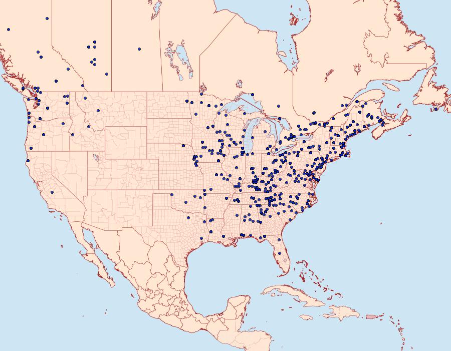 Distribution Data for Ectropis crepuscularia