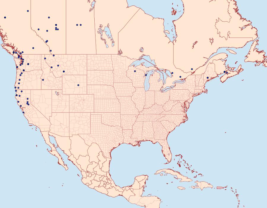 Distribution Data for Plemyria georgii