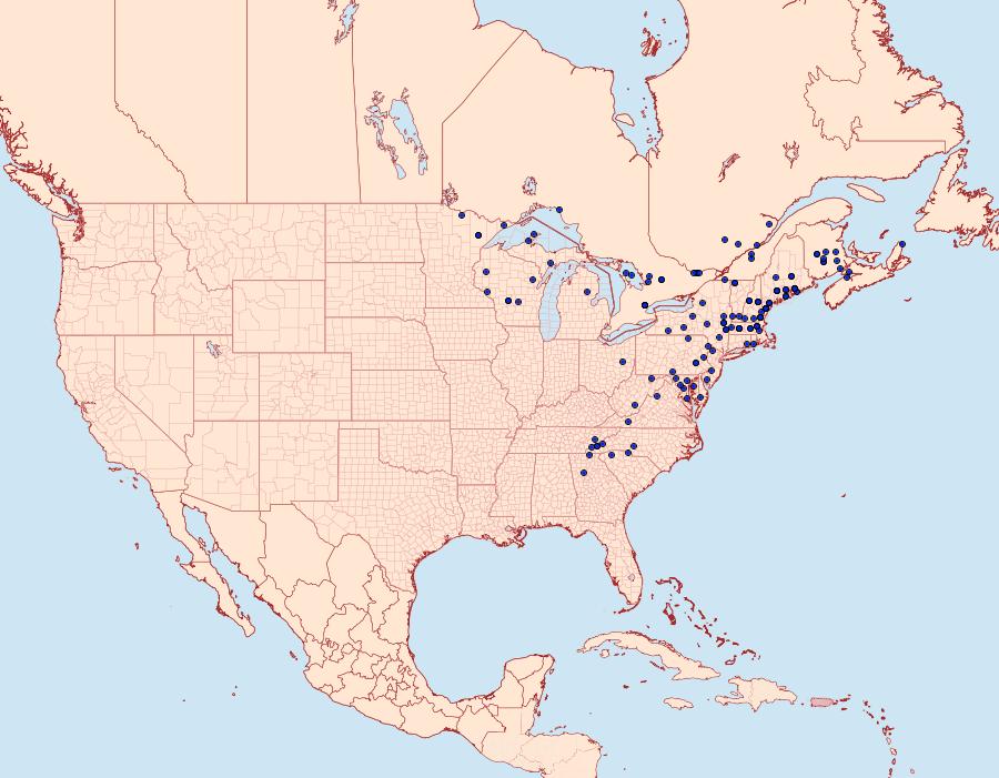 Distribution Data for Lapara bombycoides
