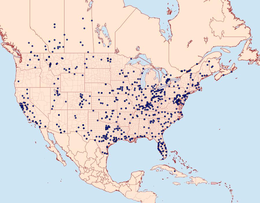 Distribution Data for Estigmene acrea