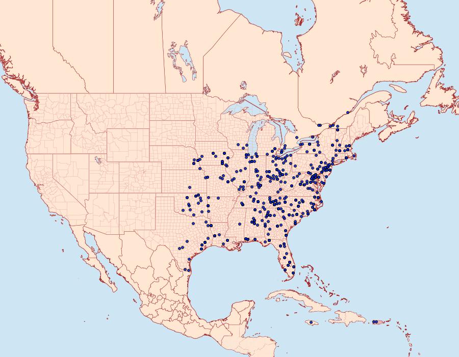Distribution Data for Palthis asopialis