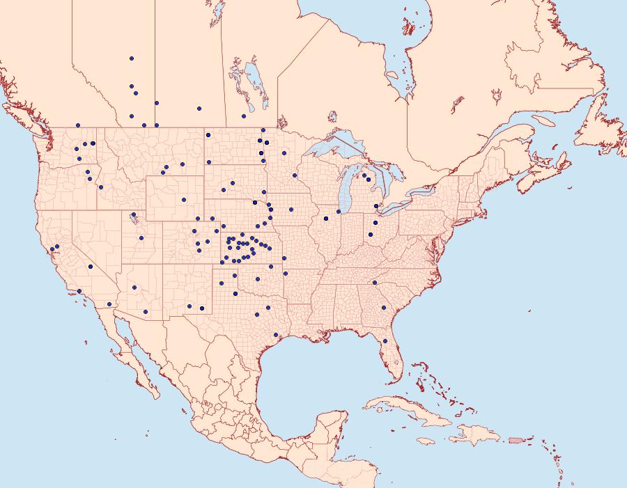 Distribution Data for Ponometia tortricina