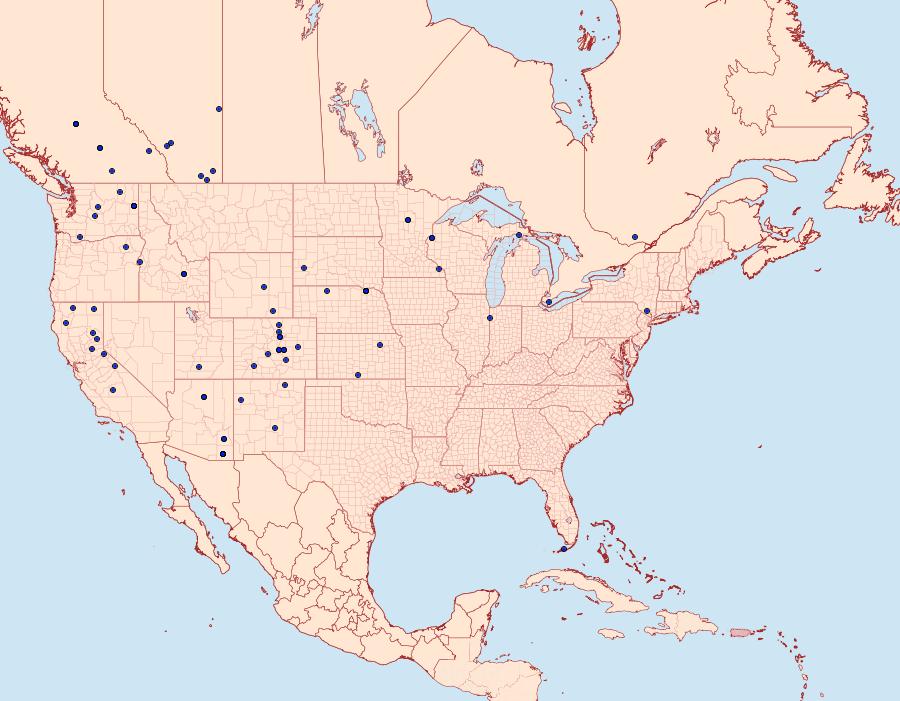 Distribution Data for Ethmia monticola